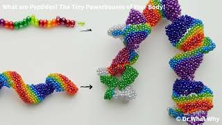 What are Peptides? The Tiny Powerhouses of Your Body!