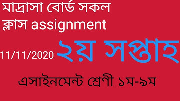 Madrasha board 2nd week assignment (class 1-9) Solution Booster