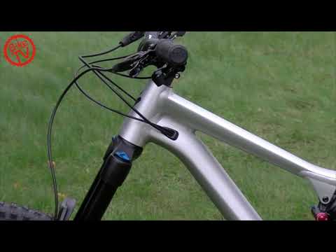 Test Specialized Stumpjumper