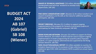 OYCR Webinar: Juvenile Justice Legal Updates