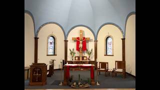 Palm Sunday Of The Passion Of The Lord, 3/28/26 Catholic Mass.