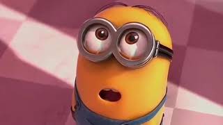 Minion love via innum enna solla