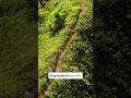 Hawaii Beyond Beaches: Epic Adventure Spots! 🌋#travelguide #traveltips #hawaiiadventure