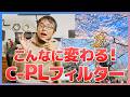 【春におすすめ】PLフィルターとは？効果が出る・出ない場面と使い方を徹底解説