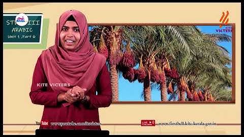 First Bell 2.0 STD 08 Arabic Class 06