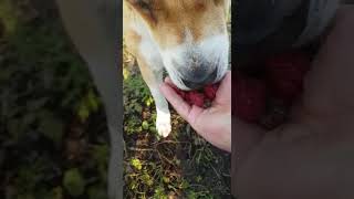 VID 20181112 WA0005