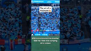 The Coldest Fans Celebration The Poznan shorts