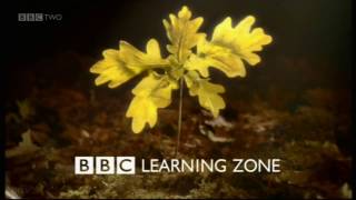 BBC Two (BBC Learning Zone) - Continuity - 27th/28th January 2015