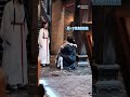 #zhanzhaoadventures #zhanzhao #yangyang #chinesedrama #cdrama #yangyang杨洋 #yangyangbangladeshifans