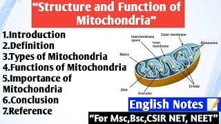 Mitochondria | Types | Functions | Importance of mitochondria | Mitochondria English notes. 