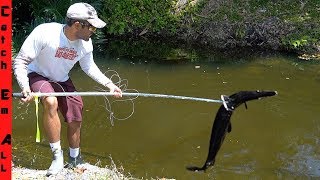 LAND HARPOON FISHING with TRIDENT! 