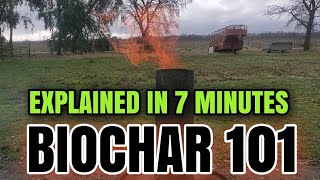 EVERYTHING YOU ever WANTED to KNOW about BIOCHAR 🔥
