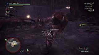 What are you doing here