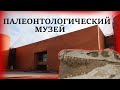 Московский Палеонтологический музей. Moscow Paleontological Museum