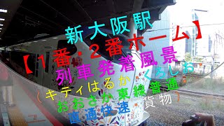 （ハローキティはるか他）新大阪駅【1・2番ホーム 列車発着風景】
