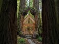 Cabin Built Between Two Giant Trees 🌲 | Dream Forest House #shorts