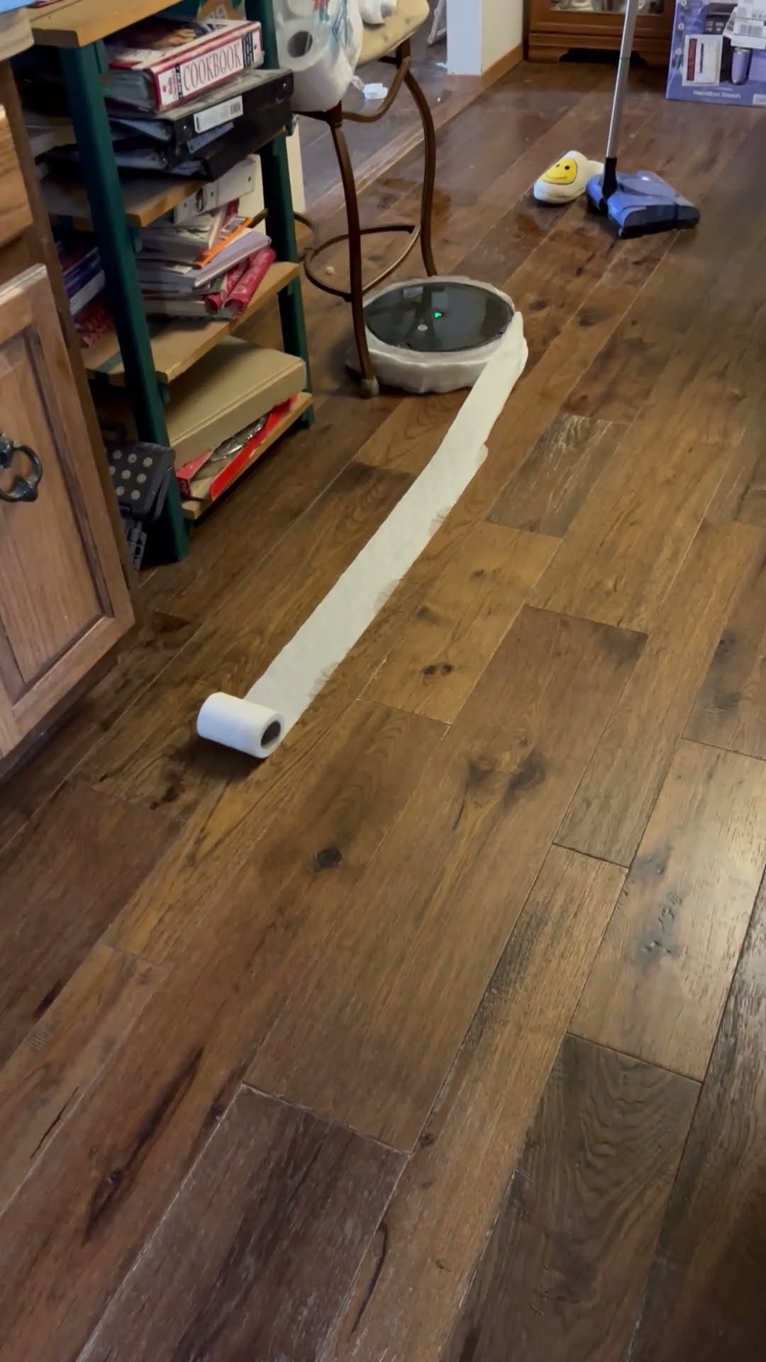 Roomba Wraps Itself In A Roll Of Toilet Paper || ViralHog