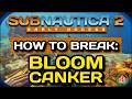 Subnautica 2 How Break Bloom Canker