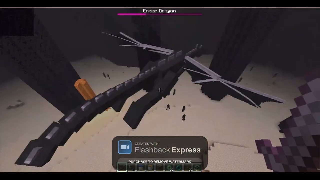 Kill Ender Dragon in mine craft