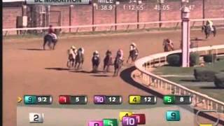 2011 Breeders' Cup Marathon