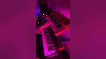 Live synth performance (Moog)