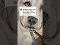 Positive feedback means everything to me😊❤️🩹 #dogs #art #blanket