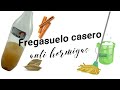 FREGASUELO Casero utilizando Canela, Laurel y sal (repelente hormigas)