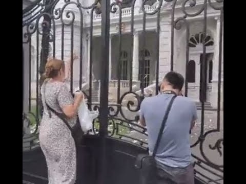 სამოქალაქო აქტივისტი ნატა ფერაძე, პრეზიდენტის სასახლის ეზოს დანაგვიანებისთვის 80 ლარით დაჯარიმდა