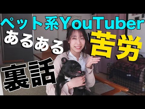 ペット系youtuberのあるある動画編集 撮影 裏話 Youtube ペット系youtuberのあるある動画編集 撮影 裏話 Youtube