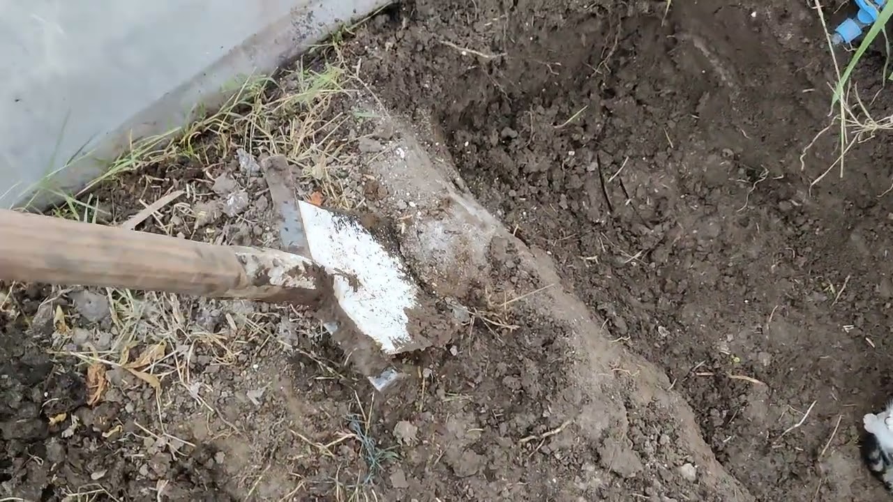 Priprema zemlje za rasađivanje u plasteniku