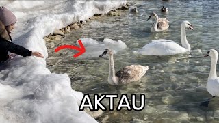 AQTAU | AKTAU | АКТАУ | КАСПИЙ