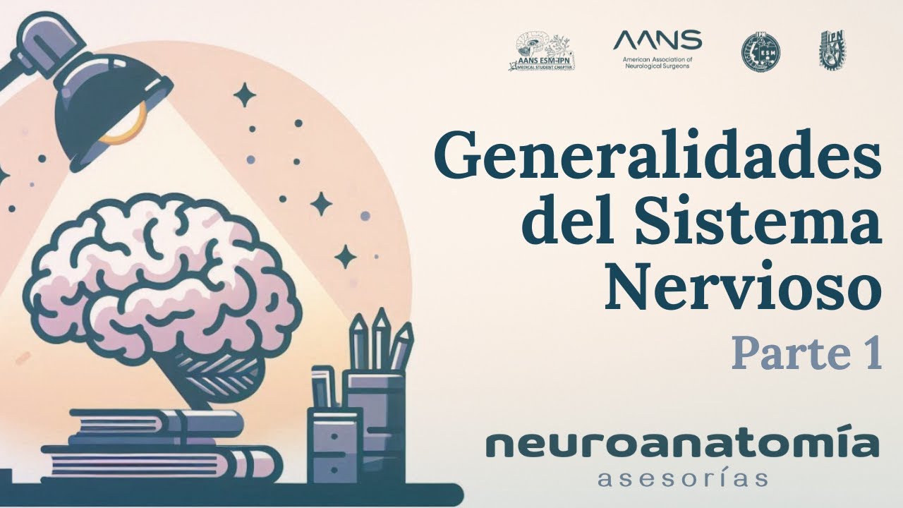Generalidades del Sistema Nervioso - Parte 1 | Neuroanatomía: Asesorías | AANS ESM-IPN