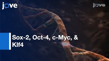 Generating iPS Cells From MEFS Through Forced Expression l Protocol Preview