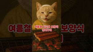 #여름보양식 #장어구이 #원기회복 #체력충전#피로회복 #활력충전 #보양음식 #한국보양식#K고양이먹방 #먹방영상 #숏폼먹방 #건강한여름