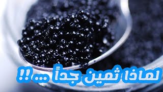 لماذا الكافيار مكلف للغاية .. رغم أنه مصنوع من بيض السمك ؟