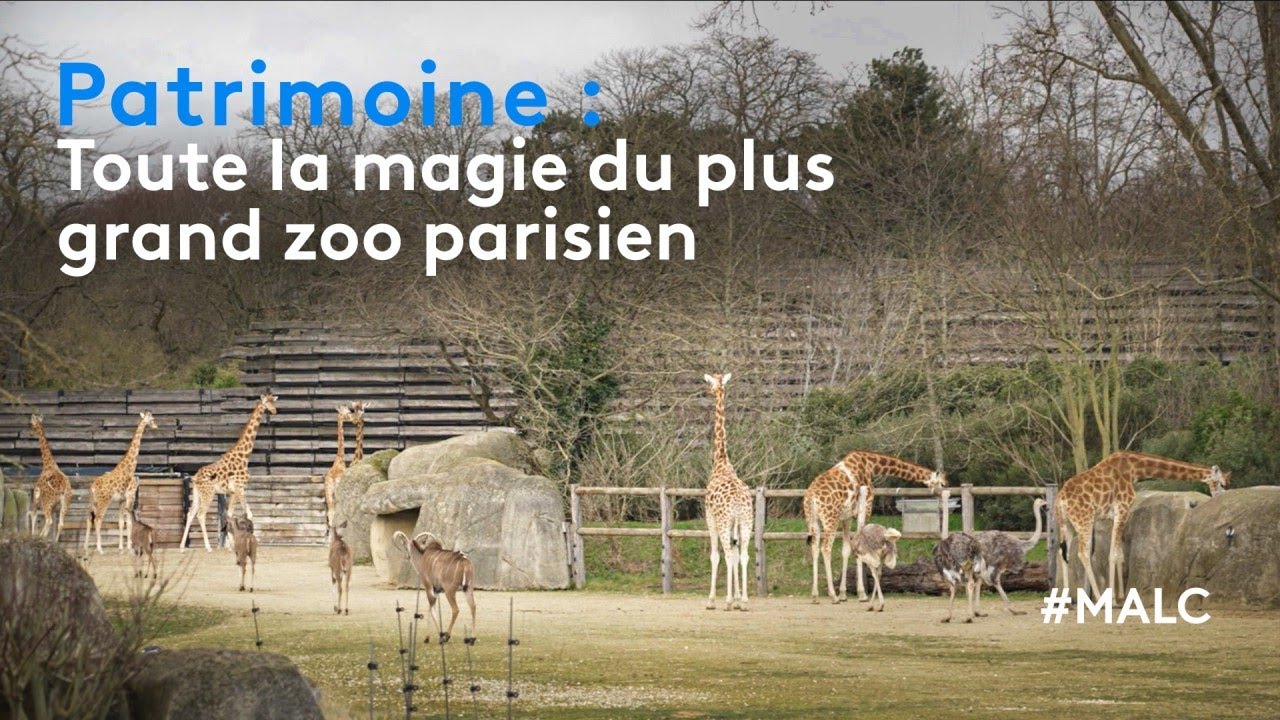 Patrimoine : toute la magie du plus grand zoo parisien