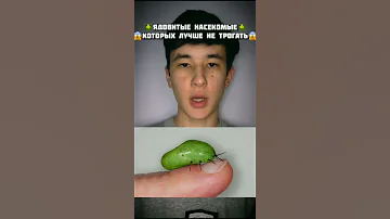 Самые Ядовитые Насекомые, Которых Лучше не Трогать!😱 #shorts #клещ #насекомые #ядовитый