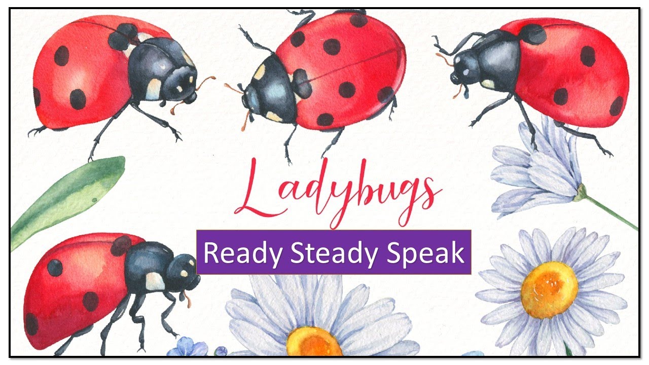 Ladybugs - SZÖVEGÉRTŐ és SZÓKINCSTANULÓ lecke