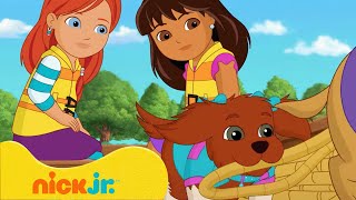 ¡Las Mejores Aventuras de PERRITOS con Dora y sus Amigos! | Nick Jr. en Español