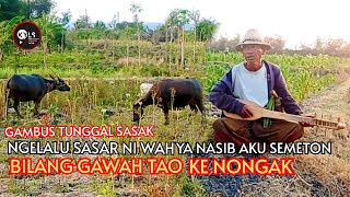 🥎GAMBUS TUNGGAL SASAK NGELALU SASAR NI WAH YA NASIB AKU Semeton BILANG GAWAH TAO KE NONGAK
