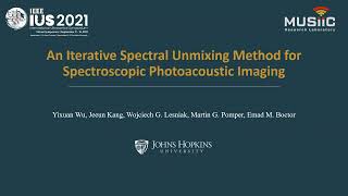 Iterative Fluence Compensation And Spectral Unmixing For Spectroscopic Photoacoustic Imaging