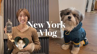 Nyc Vlog Only Place You Can Find Jay Parks Won Soju In Nyc Doggie Dna Test