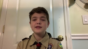 Scout Rank Requirement 3a. - Patrols