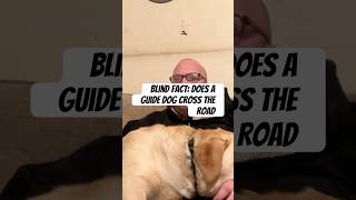 My Guide dog doesn’t cross me over public roads 