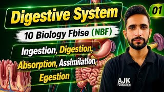 Class 10 Biology Chapter 1 | National Book Foundation | Digestive System 