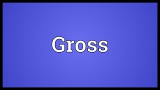 Gross Meaning