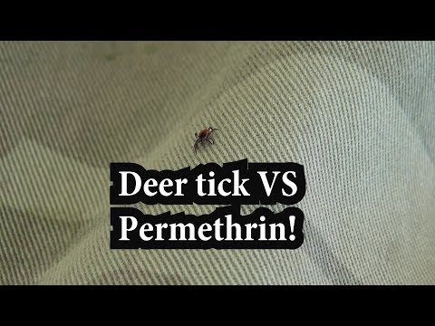 Video: Oblečení Ošetřené Permethrinem Odpuzuje Klíšťata, Komáry A Další Chyby