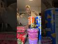 LET THE CHRISTMAS SISSY SNACK TRAYS BEGIN 😍🎄🍓 #MomVlogs | Single Mom Lifestyle