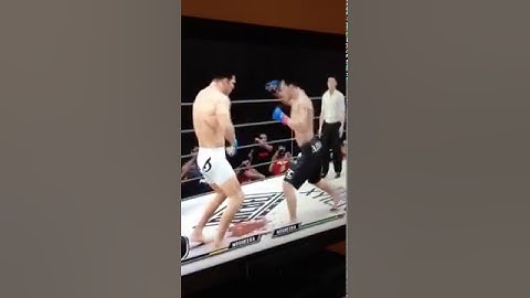 UFC Undisputed 3 GLITCH! Big Nog vs Big Nog