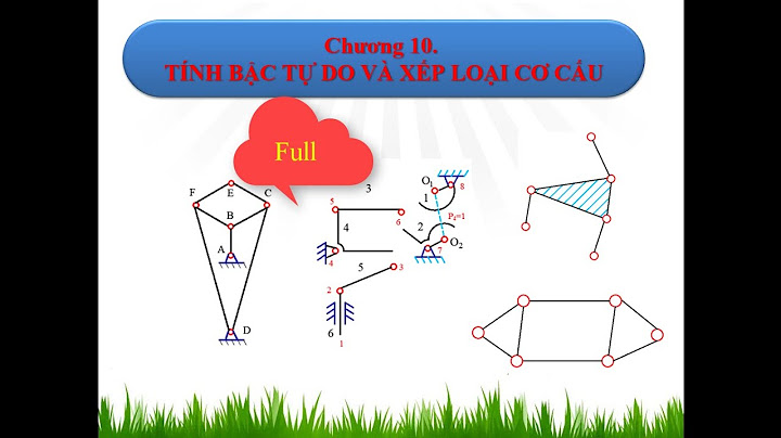 Cơ cấu vị tự có bao nhiêu bậc tuwh do năm 2024